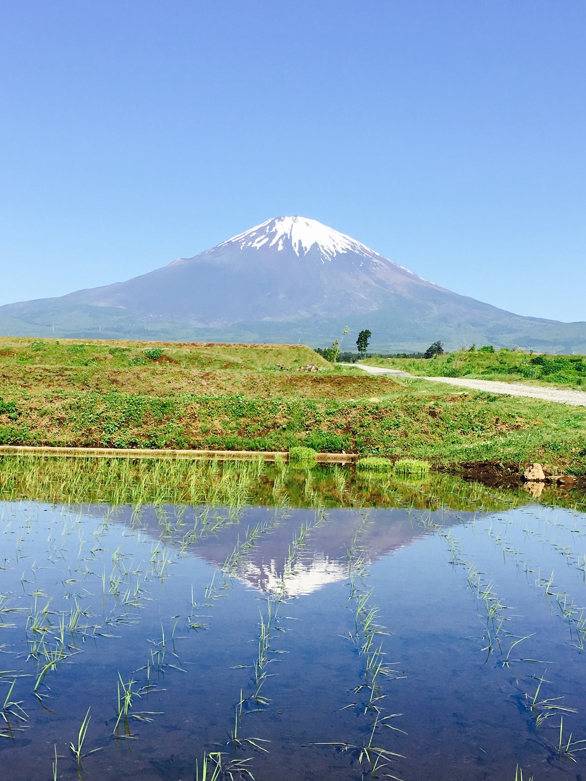 田んぼ逆さ富士｜Mt.FUJI View Spot!｜富士山｜chafuka