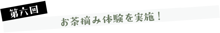 第五回 お茶摘み体験を実施！