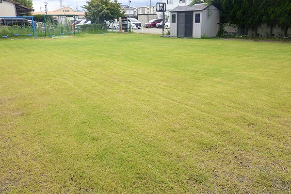 認定こども園しょうえい幼稚園 after