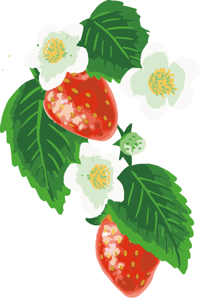 いちご1
