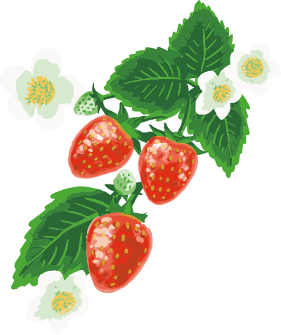 いちご2