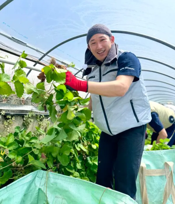 いちご狩りの様子3