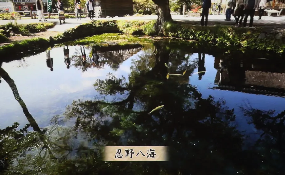 忍野八海