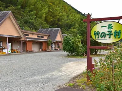 一条竹の子村
