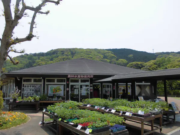 下賀茂温泉 湯の花
