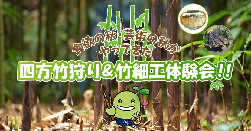 食欲の秋・芸術の秋がやってきた 四方竹狩り＆竹細工体験会！！