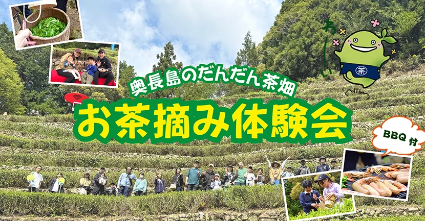 お茶摘み体験会&BBQ